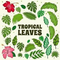 ensemble de tropical feuilles dessin vecteur