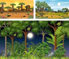 ensemble de différentes scènes horizontales de la forêt vecteur