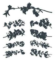 vecteur noir silhouette de une Cerise fleurir. floraison arbre branches