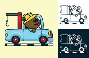 marrant ours portant ouvrier casque sur remorquer camion. vecteur dessin animé illustration dans plat icône style