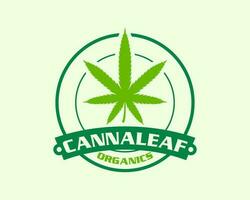 chanvre feuille logo conception pour médical cannabis clinique vecteur