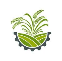 agriculture icône, blé oreilles ou seigle céréale champ vecteur