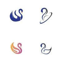 cygne logo et symbole vecteur