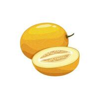 melon fruit vecteur, Jaune juteux mûr jardin plante vecteur