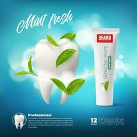 menthe dentifrice, réaliste vert feuilles et dent vecteur