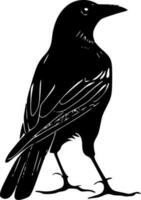 corbeau, noir et blanc vecteur illustration