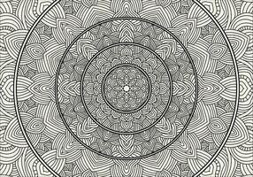 vecteur mandala coloration page. mandala illustration pour coloration livre.