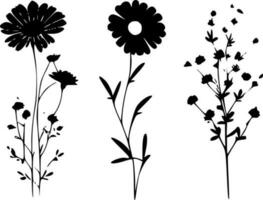 fleurs - noir et blanc isolé icône - vecteur illustration