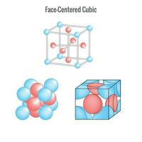 visage centré cube système dans solide Etat cristal structure vecteur