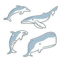 ensemble de vecteur des illustrations avec quatre Marin habitants, une baleine, une dauphin, une tueur baleine et une sperme baleine dans bleu avec partiel remplissage.