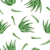 aloès Vera plante et aloès feuilles. aquarelle sans couture modèle sur une blanc Contexte. pour emballage produits de beauté, scrapbooking, emballage papier vecteur