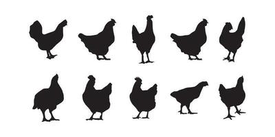 poule, gril, poulet silhouettes vecteur illustrateur eps10