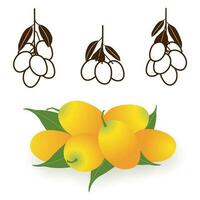 sucré Jaune marian prune vecteur ensemble. le bouquet de marian prunes, prune mangue, plango, mayong enfant, maprang, Frais et sucré thaïlandais fruit. tropical, saisonnier des fruits illustration. esquisser icône, logo.