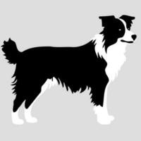 chien de le race frontière colley silhouette dans noir et blanc vecteur