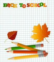 coloré des crayons avec un gomme, école fournitures, papeterie, une à carreaux carnet. le concept de scolarité, retour à école, premier temps à école. l'automne, l'automne feuilles vecteur