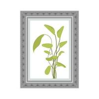 gris photo Cadre avec une image de une vert plante. isolé. plat style. vecteur