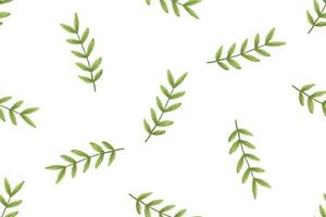 botanique sans couture modèle avec branches, feuilles, herbes, illustration vecteur
