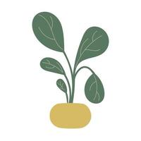 ficus poussant dans un pot. plante d'intérieur décorative avec des feuilles vertes dans un pot. belle plante en pot isolée sur fond blanc. Maison & Jardin. illustration vectorielle plane vecteur