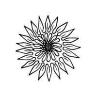 coquelicots fleurs continu ligne dessin. modifiable doubler. noir et blanc art. illustration. vecteur