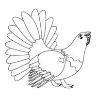 mignon, dessin animé grand tétras oiseau. ligne art. vecteur
