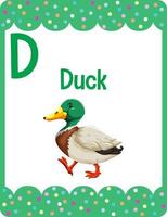 flashcard alphabet avec lettre d pour canard vecteur