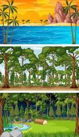 ensemble de différentes scènes horizontales de forêt à des moments différents vecteur