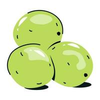 une plat icône de vert macadamia vecteur