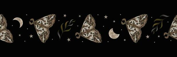 papillon, phases de le lune et étoiles, herbes. sans couture frontière, vecteur illustration. nuit ciel. Halloween, la magie, la sorcellerie, astrologie, mysticisme. pour fond d'écran, tissu, emballage, Contexte.