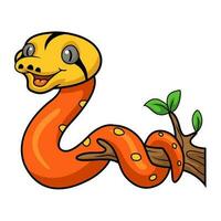 mignonne albinos d'or enfant réticulé python dessin animé sur arbre branche vecteur