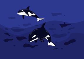 Illustration vectorielle de Killer Whales vecteur