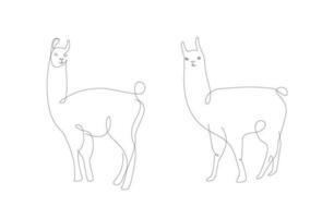 alpaga un ligne illustration. lama ligne art vecteur. Pérou animaux vecteur