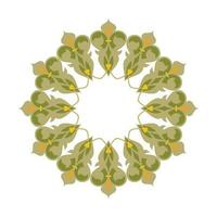 mandala floral ornement avec divers couleurs vecteur