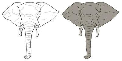 des photos pour éducation coloration l'éléphant têtes, adapté pour dessin livres, coloration applications et plus vecteur