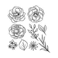 Rose fleurs feuilles dessin vecteur