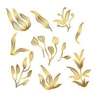 d'or floral vecteur illustration avec ligne style. luxe main tiré fleurs