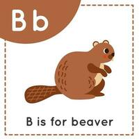 apprentissage Anglais alphabet pour enfants. lettre b. mignonne dessin animé castor. vecteur