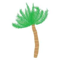 tropical paume arbre. vecteur illustration