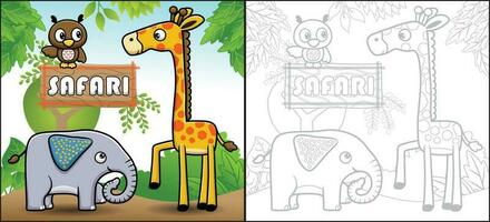 vecteur dessin animé de marrant safari animaux. girafe, l'éléphant et hibou. coloration livre ou page