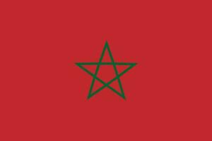 Maroc drapeau. drapeau de Maroc vecteur