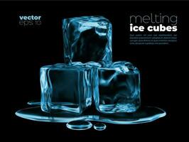 fusion la glace cubes, bleu l'eau flaque, congelé boisson vecteur