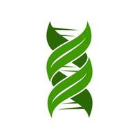 feuille ADN icône, plante symbole avec vert gène hélix vecteur