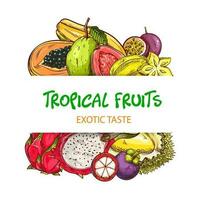 exotique tropical des fruits esquisser vecteur bannière