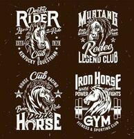 T-shirt impressions avec cheval étalon têtes, sport vecteur