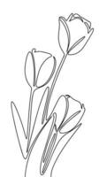 Trois tulipes isolé sur blanc Contexte. main tiré un ligne continu fleurs vecteur illustraiton. ligne art printemps concept avec tulipe, contour fleurs.