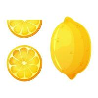 Frais citron des fruits, collection dans dessin animé style. vecteur illustration isolé sur blanche.