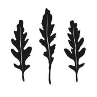 ustensiles de cuisine assaisonnement Roquette. noir et blanc plat style. vecteur illustration isolé sur une blanc Contexte. roquette salade silhouette