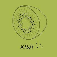 une Célibataire vecteur illustration de une kiwi fruit. lignes art tropical kiwi fruit, griffonnage sur vert Contexte