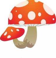 rouge mouche champignon vecteur