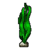 vert aquarium plante Jeu pixel art vecteur illustration