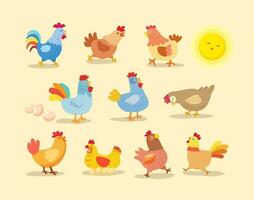 vecteur coloré poulet collection, vecteur illustration
